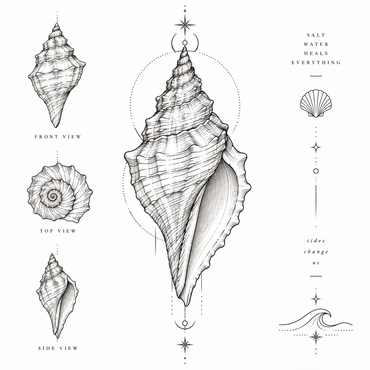Fine line seashell tattoo